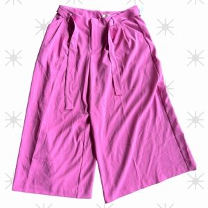 NWT Maeve by Anthropologie Bright Pink Trousers Size 14T